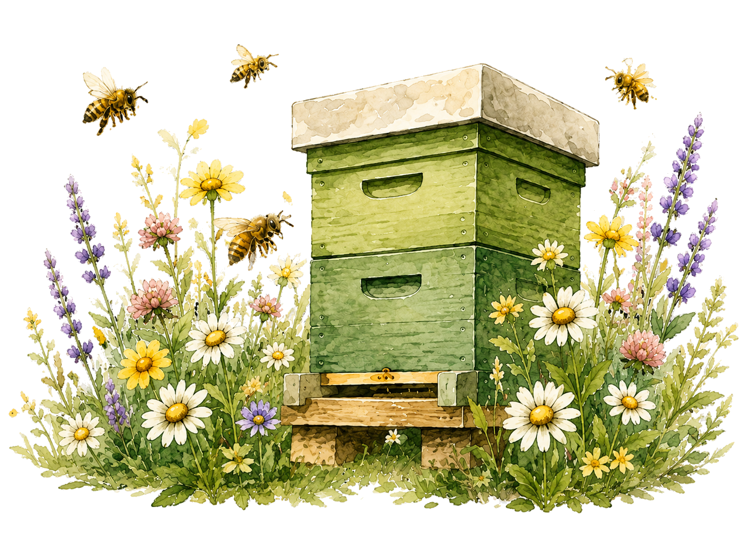 Grüner Bienenstock zwischen Wildblumen